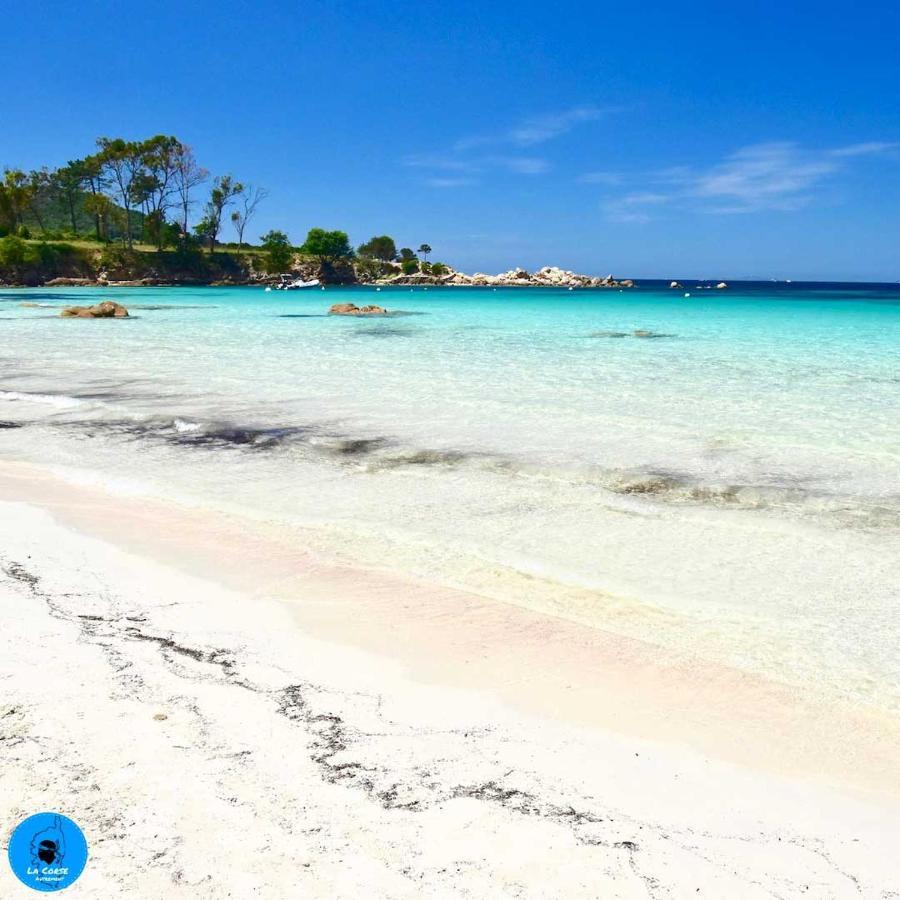 Joli Studio Maisonnette A 100M De La Plage ปอร์ติชโช ภายนอก รูปภาพ